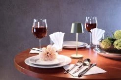 Deko Light Akku Tischlampe Canis Mini Graugrün Dimmbar Mit Ladesockel 2200/3000K IP65 -Beleuchtung Rabatte 620203 3